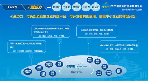 盛國軍與卡奧斯 工業互聯網的探索、實踐與數據服務新范式